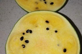 今日吃瓜酱,今日吃瓜酱带你领略明星幕后故事