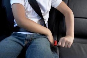 娱乐吃瓜酱女生安全带,揭秘明星出行安全新潮流