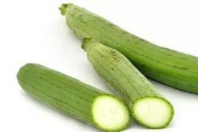 51吃瓜今日必吃大瓜,揭秘今日必吃大瓜，热点事件一网打尽！